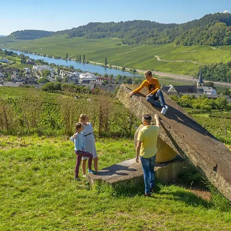 公寓 Im Weingut Frieden-berg 尼特尔