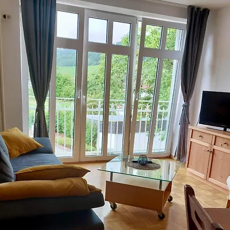 Im Weingut Frieden-berg Apartment Nittel